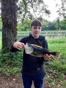 Smallmouth Bass