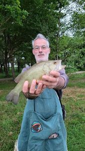 Smallmouth Bass