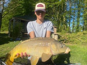 Mirror Carp