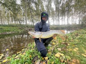 Northern Pike