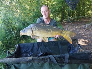 Mirror Carp