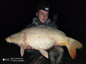 Mirror Carp