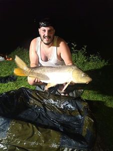 Mirror Carp