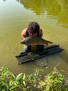 Leather Carp