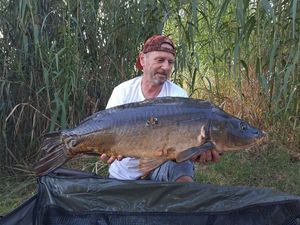 Mirror Carp