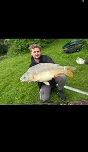 Mirror Carp