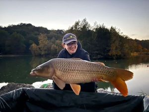 Common Carp