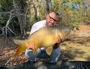 Mirror Carp