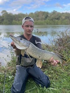 Northern Pike