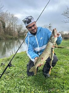 Northern Pike