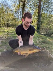Mirror Carp