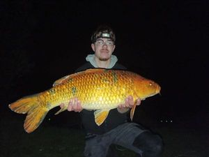 Koï Fish