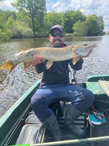 Northern Pike