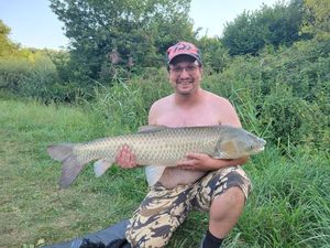 Grass Carp