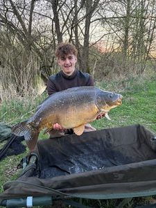 Mirror Carp