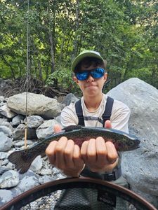 Rainbow Trout