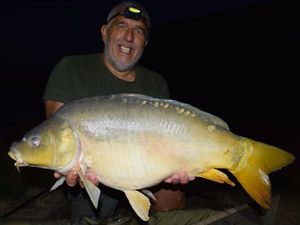 Mirror Carp