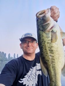 Largemouth Bass