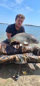 Mirror Carp