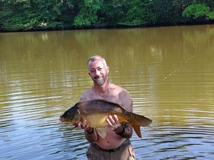 Common Carp
