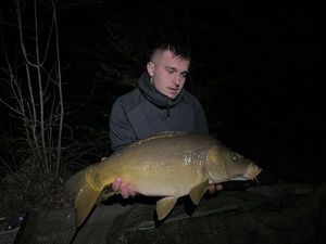 Mirror Carp