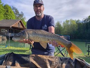 Common Carp