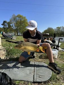 Mirror Carp