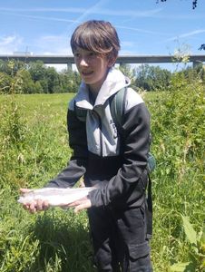 Rainbow Trout