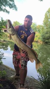 Northern Pike