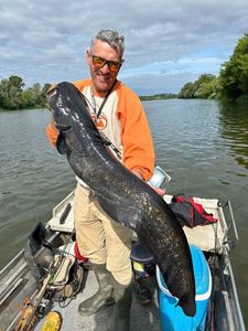 Wels