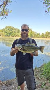 Largemouth Bass