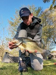Largemouth Bass