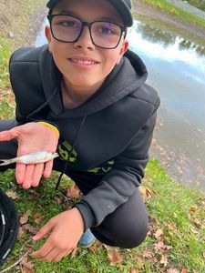 Roach