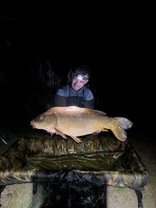Mirror Carp