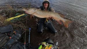 Northern Pike