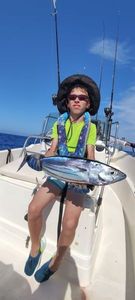 Skipjack Tuna