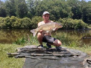 Common Carp