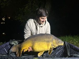 Mirror Carp