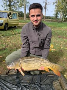 Common Carp