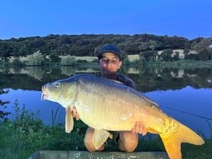 Mirror Carp