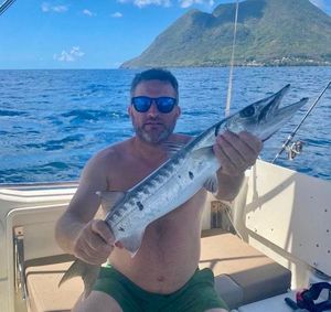 Great Barracuda