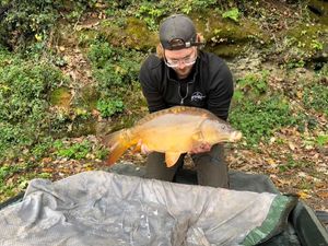 Mirror Carp