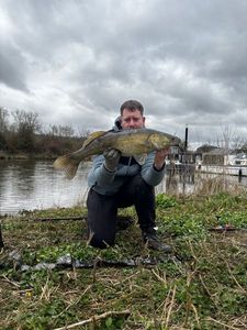 Zander