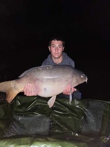 Mirror Carp