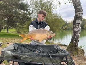 Mirror Carp