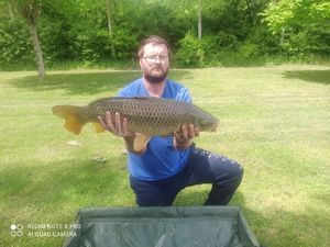 Common Carp