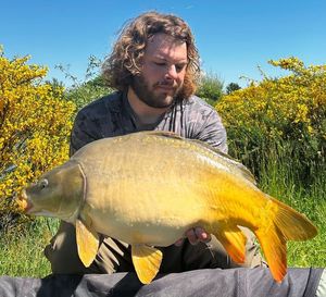 Mirror Carp