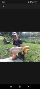 Mirror Carp