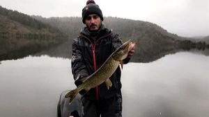 Northern Pike