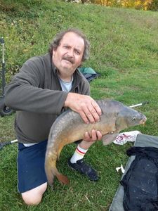Mirror Carp